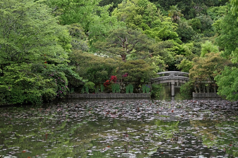 Asian Zen Garden of Tranquility