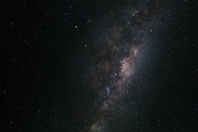 Starlit Meadows